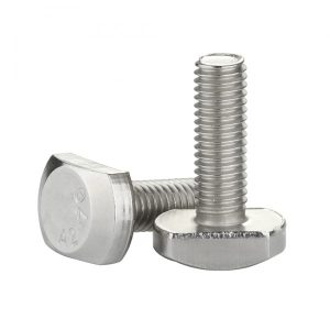 Bulong Chữ T Inox 304 M12x50
